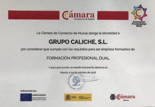 Grupo Caliche reconocida como empresa idónea para la Formación Profesional Dual.